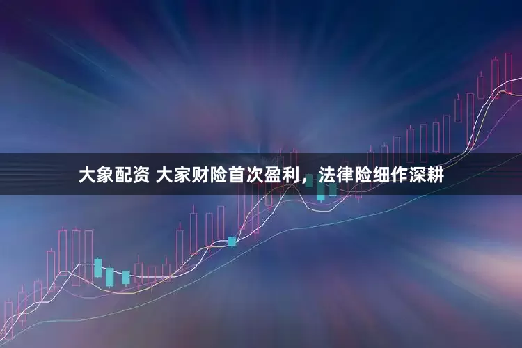 大象配资 大家财险首次盈利，法律险细作深耕