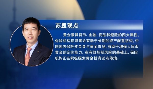 迎客松配资 黄金市场投资布局与人民币黄金定价权提升：全球格局下的机遇与挑战丨“陆家嘴金融沙龙”第八期