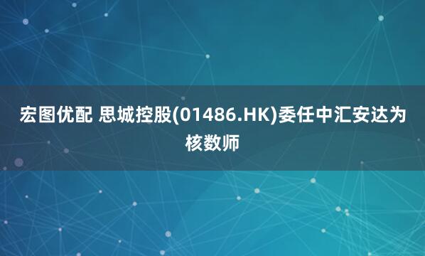宏图优配 思城控股(01486.HK)委任中汇安达为核数师