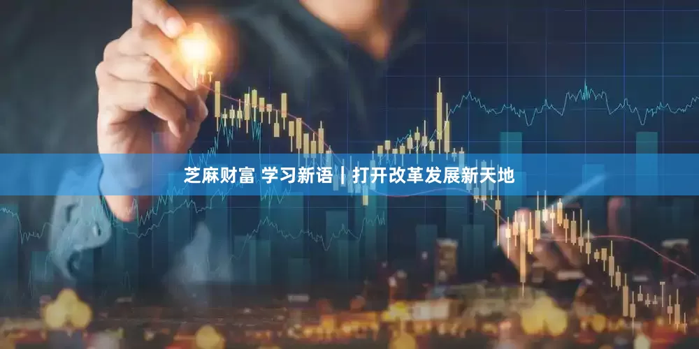 芝麻财富 学习新语｜打开改革发展新天地