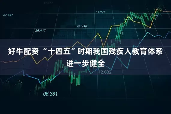 好牛配资 “十四五”时期我国残疾人教育体系进一步健全