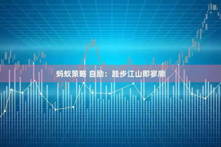 蚂蚁策略 自励：跬步江山即寥廓